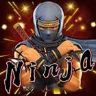 Ninja game thumbnail