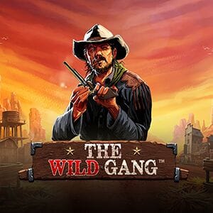 The Wild Gang game thumbnail